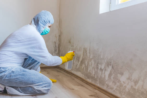 Licensed Bathroom Mold Removal service in Allensville, PA - WQB Mold Removal