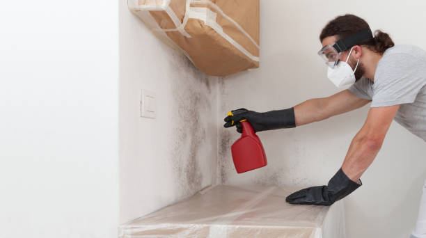 Professional Bathroom Mold Removal technician working in Allensville, PA