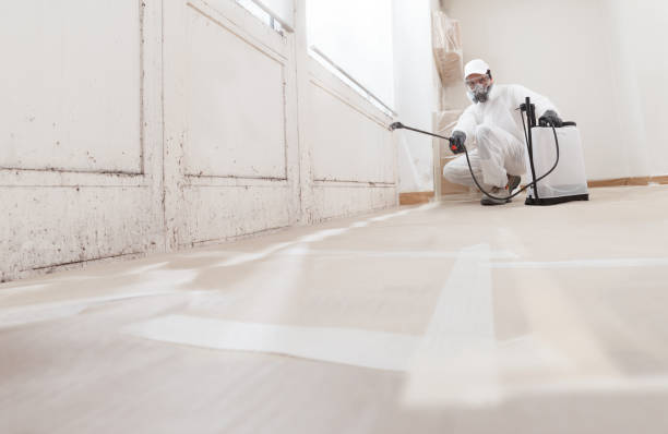 24/7 Emergency Bathroom Mold Removal experts in Allensville, PA