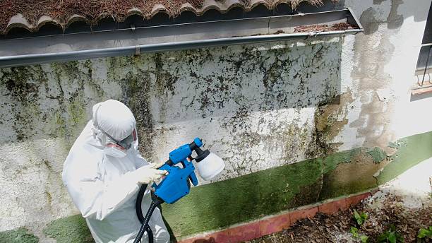 Top rated local Bathroom Mold Removal specialists in Allensville, PA
